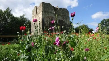 Etal Castle