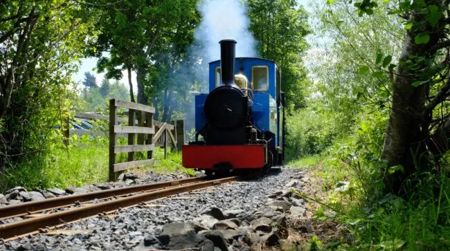Attractions and Activities