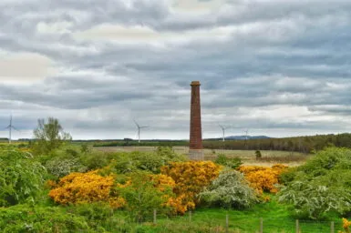 Ford Moss Nature Reserve and Colliery